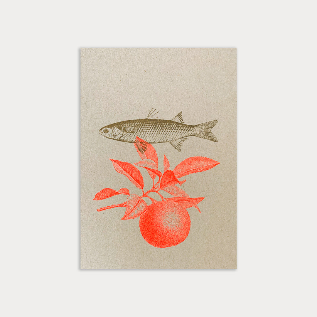 Postkarte / Fisch - Togethery