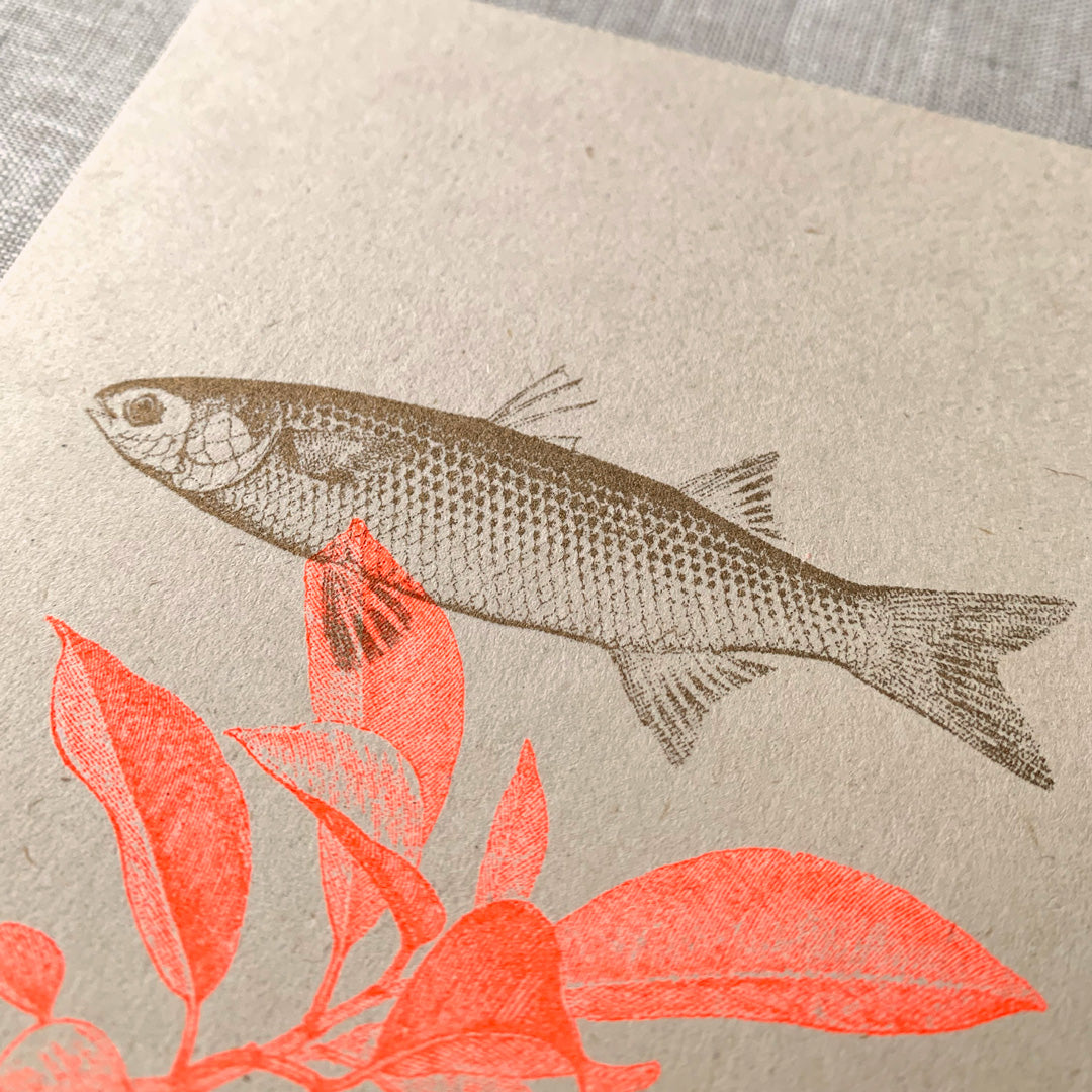 Postkarte / Fisch - Togethery