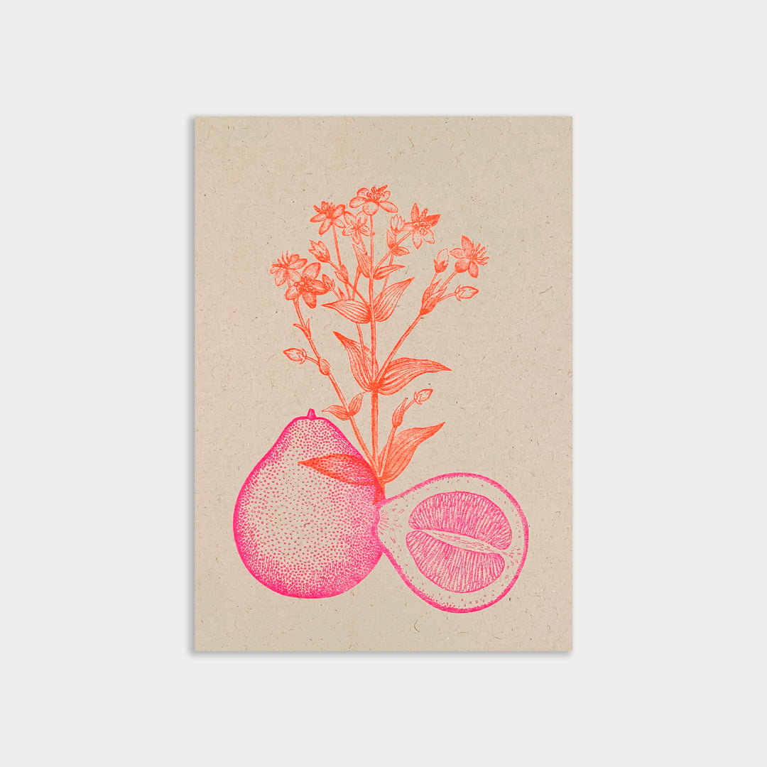 Postkarte / Pomelo - Togethery